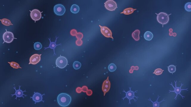 Stem Cell Differentiation Microscopy Seamless Loop With Branching Neural Muscle And Blood Cell Lineages in calm navy tones