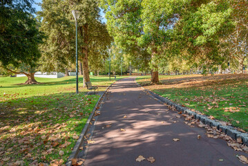 Obraz premium Deserted footpath lined with street lights and benches in a park dotted with large trees on a sunny autumn day