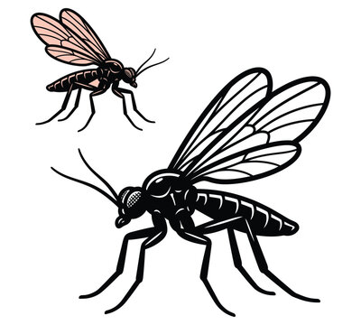 Detailed black and white vintage style illustration of two small flying insects resembling mosquitoes or gnats isolated on a white background