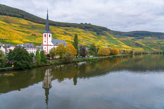 Piesport village and St. Michael church reflected in Moselle river. Germany
