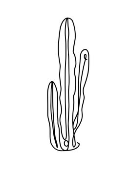 Cactus columnar minimalista en dibujo de l&iacute;nea continua