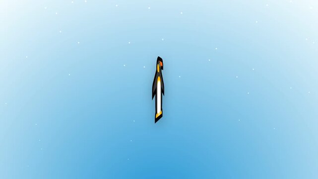 penguin illustration video