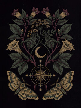 Decorative Botanical Illustration with Moths Trumpet Flowers and Crescent Moon