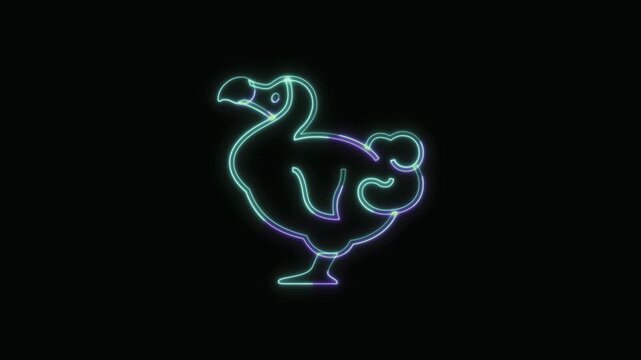  Dodo Animal Icon Neon Seamless Loop 4K with Black Background Animated Promotional Typography for Video Editing