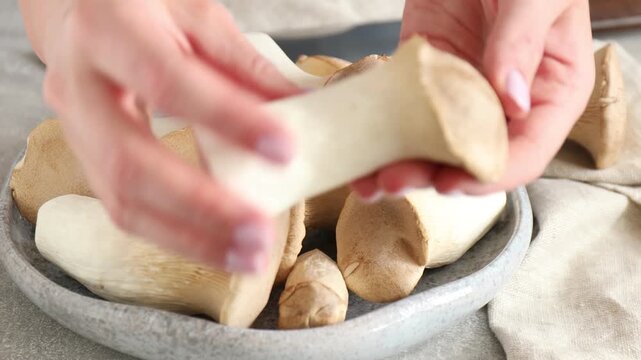 Woman taking fresh oyster mushrooms at grey table, closeup