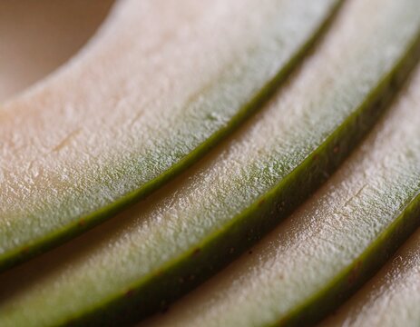 Macro Shot of Sliced Avocado