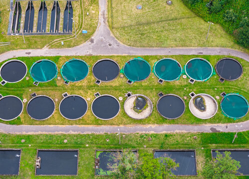 Aerial view of a trout aquaculture facility featuring multiple circular fish tanks covered with green netting, surrounded by grassy paths and rectangular ponds in Pomeranian Voivodeship, Poland.