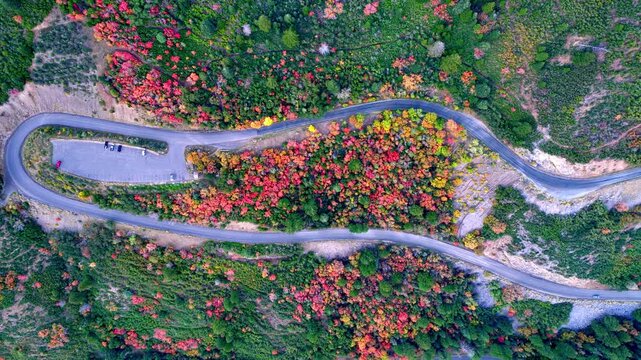 Sliding top down aerial reveal of a switchback road climbing along the Alpine Loop Scenic Byway in Utah during autumn 
