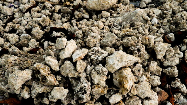 Natural White Coral Rocks and Porous Stone Texture, Rough Limestone Rubble Surface Background for Construction Projects, Coastal Landscaping, and Marine Geology Exploration