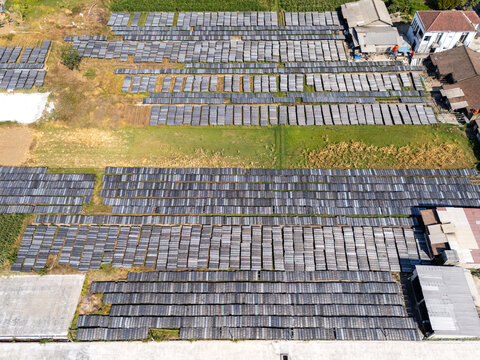Aerial view of UKM Sohun production facility with rows of drying sohun noodles on trays in an open field in Polanharjo, Central Java, Indonesia.