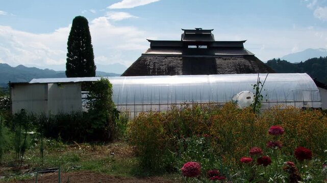 茅葺屋根とビニールハウス