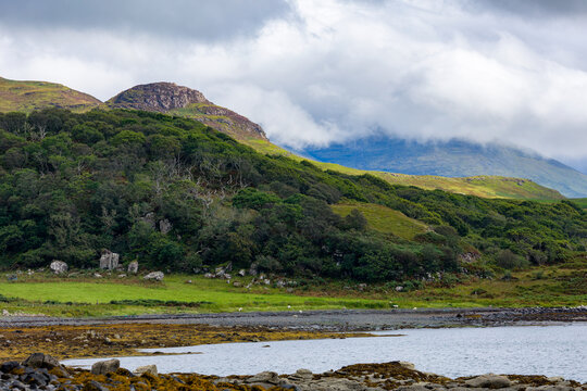 Highland coastal landscape with green pastures, native woodland and mountain terrain, wide angle view of remote sea loch coastline on summer day