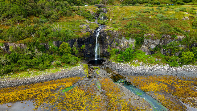 Water stream flowing down grassy slope and cliff over shingle beach into ocean, yellow seaweed on rocky shore, daytime shot