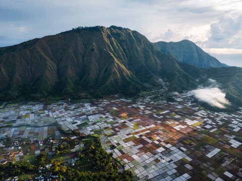 Aerial view of the agricultural basin of Sembalun at the foothills of Mount Rinjani with patchwork fields and morning mist in Sembalun, West Nusa Tenggara, Indonesia.