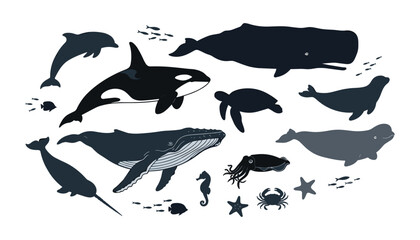 Marine life silhouette collection set featuring whale orca dolphin narwhal sea turtle seal and squid ocean animals vector illustrations isolated on white background © moinul