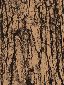 Grunge tree bark texture design