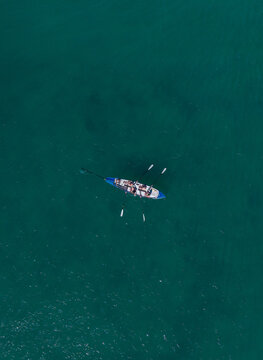 Aerial view of a rowing boat with people rowing on the turquoise waters of the ocean off the coast of Dee Why, New South Wales, Australia.