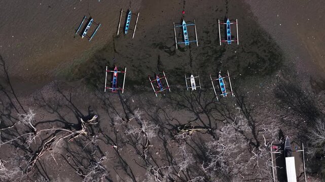 Colorful outrigger fishing boats moored on the mudflats strewn with the bleached remains of dead mangroves and elongated shadows at low tide reflect the neglected state of the coastline.