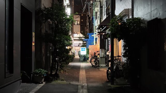 月島　夜景　2026年7月
