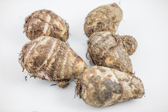 A collection of fresh, raw taro tubers displayed on a plain white background, showing their rough, brown outer skins.