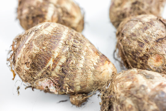 Raw unpeeled taro tubers with rough hairy skins, arranged on a plain white background, fresh farm produce.