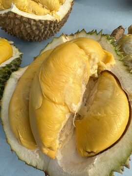 beautiful Durian image ,