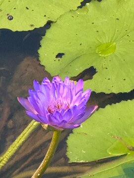 A beautiful image in singapore