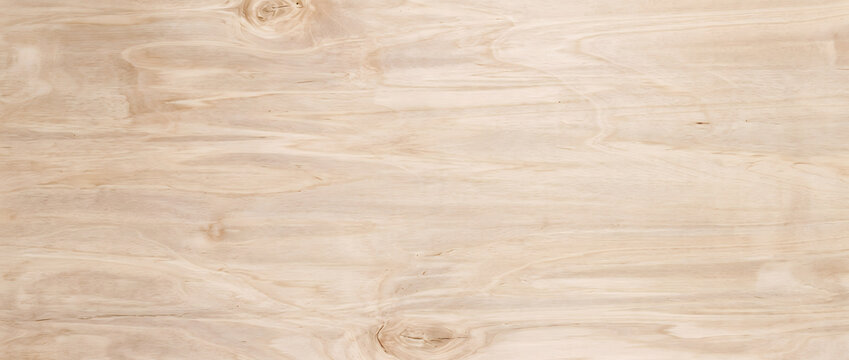 Natural pine wood texture background with small knots and soft flowing grain for rustic furniture and interior design