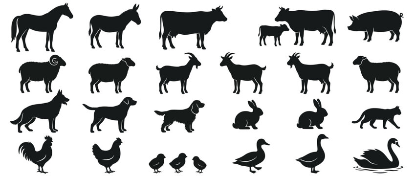 Set of farm and domestic animal silhouettes isolated on white background