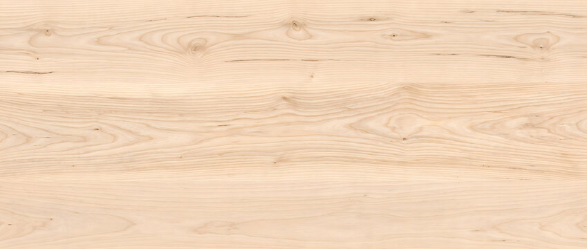 Maple wood background presenting soft pale grain with multiple knots pattern ideal for interior design flooring furniture