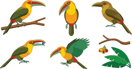 Fototapeta premium Exotic Green Toucan Bird Vector Character Set with Tropical Tree Branches Leaves and Berries for Wildlife Conservation Graphic Design