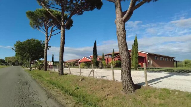Country road with umbrella pines and red farmhouse in Tuscany