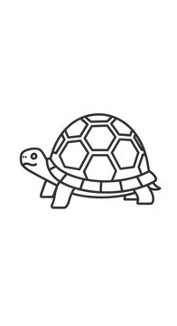 Cute cartoon turtle with patterned shell illustration.