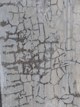 Extreme close-up macro photography revealing detailed intricate crack patterns, fissures, and weathered textures on an aged concrete wall surface. Natural gray tones highlighting the structural aging