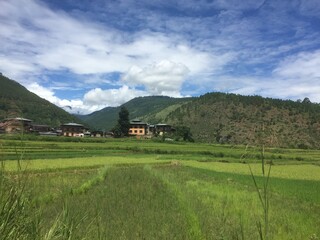 ブータンの青空の下に広がる緑豊かな田園風景と伝統的な集落 © Zumi
