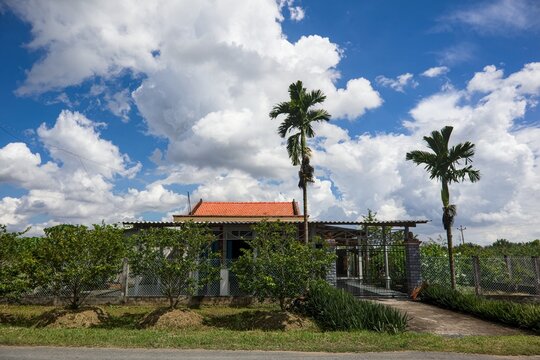 Rural House with Two Areca Palm Trees under a Cloudy Blue Sky