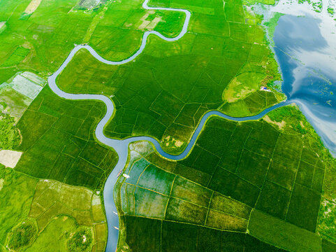 Aerial view of a winding river flowing through lush green agricultural paddy fields with small boats in the water in Dhaka, Dhaka Division, Bangladesh.