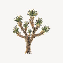 Obraz premium Hand-drawn desert tree with spiky green leaves on a white background