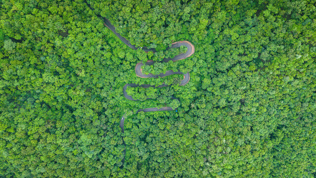 Aerial view of a zigzag road winding through a dense green forest in India.