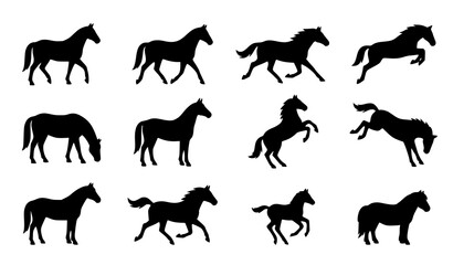 Obraz premium Brown Horse Breed and Foal Vector Collection with Grazing Walking and Standing Poses