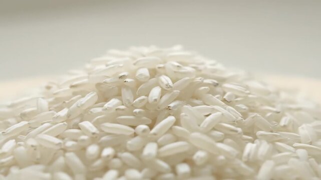 Close-up of white rice grain stacking, selected high-quality large-scale rice grains