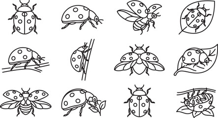 Obraz premium Ladybug line art icon set featuring spotted beetles on leaves vector