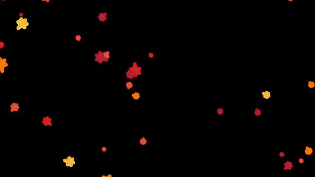 Red, orange, and golden yellow maple leaves falling and floating downward with a transparent alpha channel for layered autumn video compositions