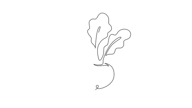 Minimalist turnip continuous line drawing animation gradually forming on a clean white background. A single unbroken black line creates a simple turnip illustration
