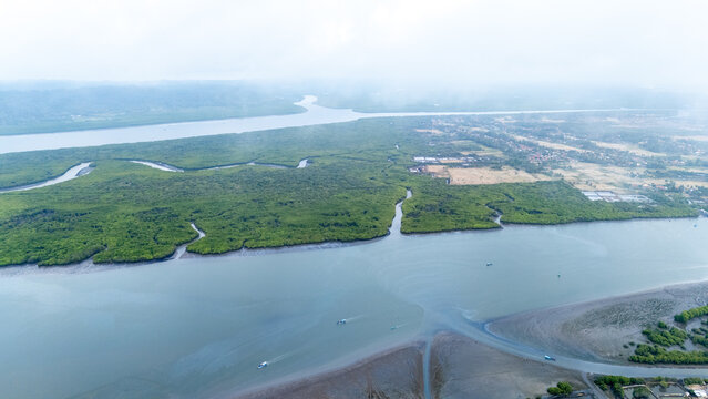 Aerial view of the mangrove forests and river estuary in Cilacap, Central Java, Indonesia.