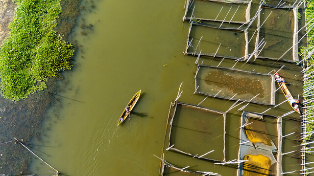 Aerial view of Lake Rawa Pening featuring traditional fish farming cages and a small wooden boat with a fisherman navigating the calm green water in Waduk Rawapening, Central Java, Indonesia.