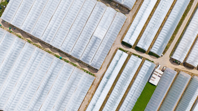 Aerial view of greenhouses for growing vegetables in San Giuliano Milanese, Lombardy, Italy.