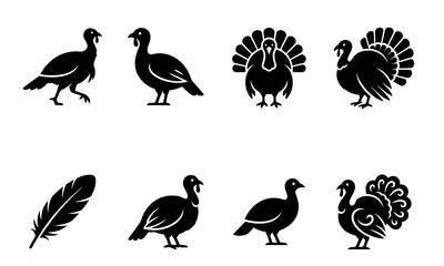Obraz premium Collection of black silhouette turkey icons and a single feather illustration