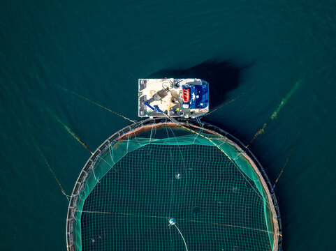 Aerial view of Gratanglaks salmon farm with a service boat moored to a circular net pen in the deep blue waters of the fjord in Gratangen, Troms, Norway.
