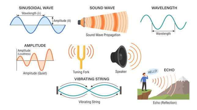 Educational vector graphic illustration explaining sound wave physics concepts including sinusoidal amplitude wavelength and echo reflection properties